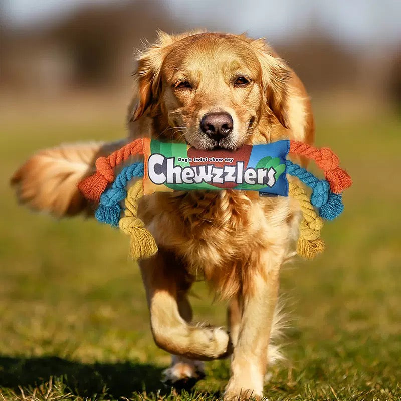 Chewzzlers Dog Rope Toy by DogLemi – Single Pack, 3 Designs Available