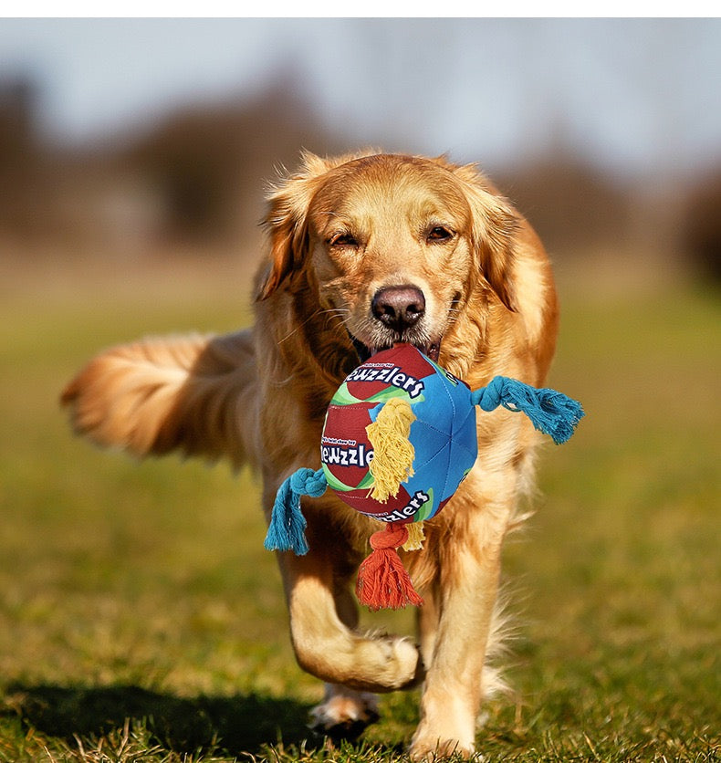 Chewzzlers Dog Rope Toy by DogLemi – Single Pack, 3 Designs Available